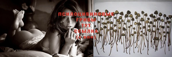 дживик Краснотурьинск