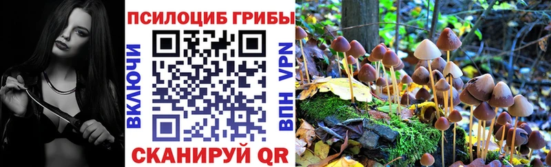 Псилоцибиновые грибы Psilocybe  Купить  Бодайбо 