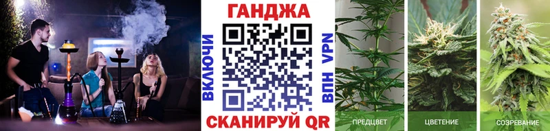 Купить  Бодайбо  Каннабис VHQ 